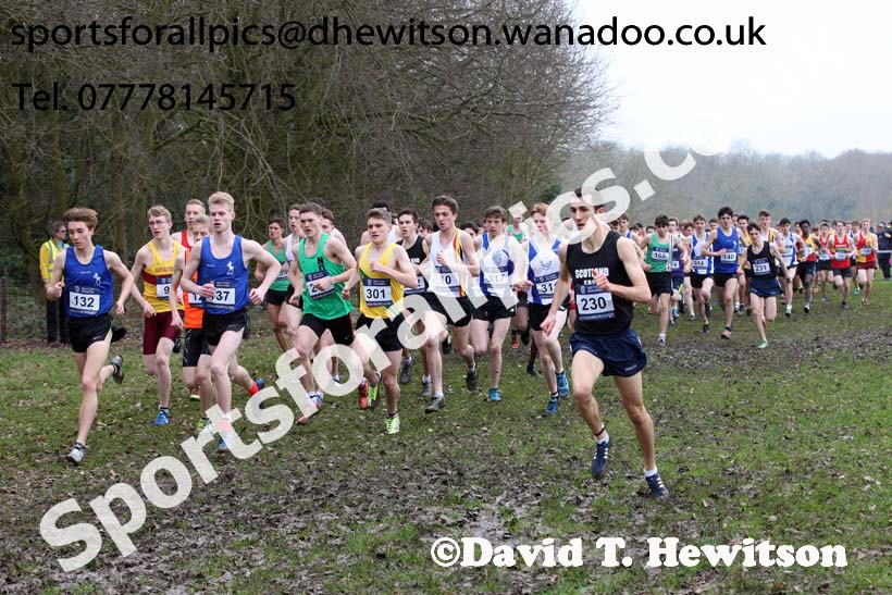 Mens under-20s Inter Counties Cross Country, Prestwold Hall, Loughborough. Photo: David T. Hewitson/Sports for All Pics